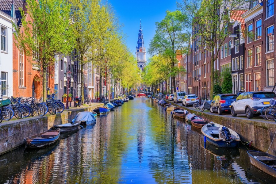 Quelle est la langue la plus parlée au Pays Bas ?