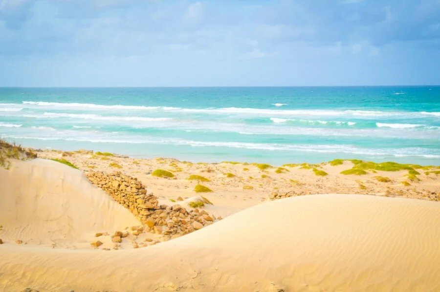 Découvrez Boa Vista au Cap-Vert : un paradis à explorer.