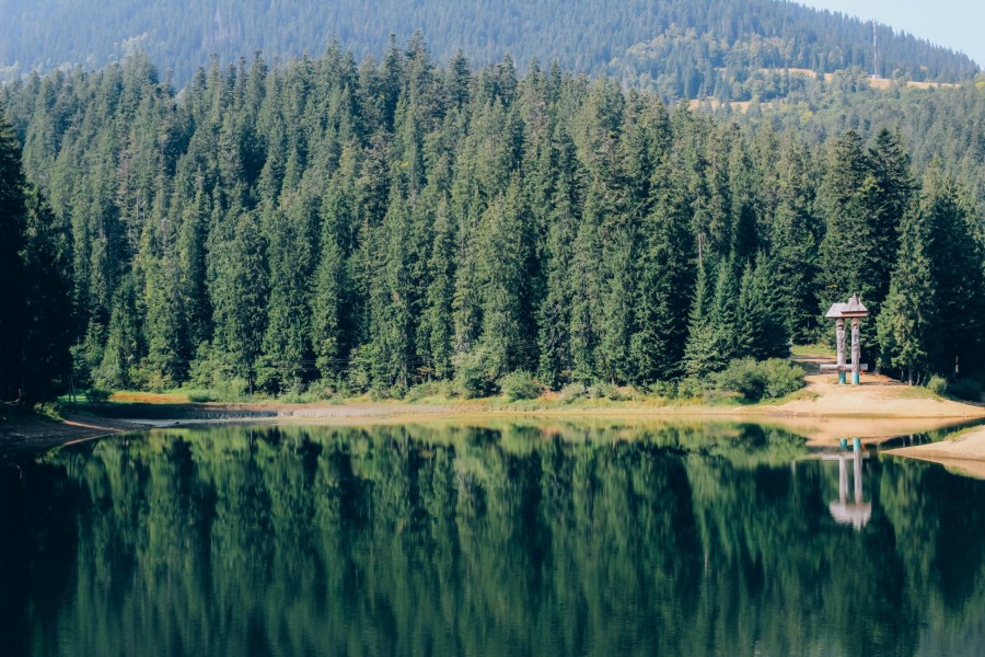 himmelen-Découverte du lac des sapins : Un joyau de la nature à explorer