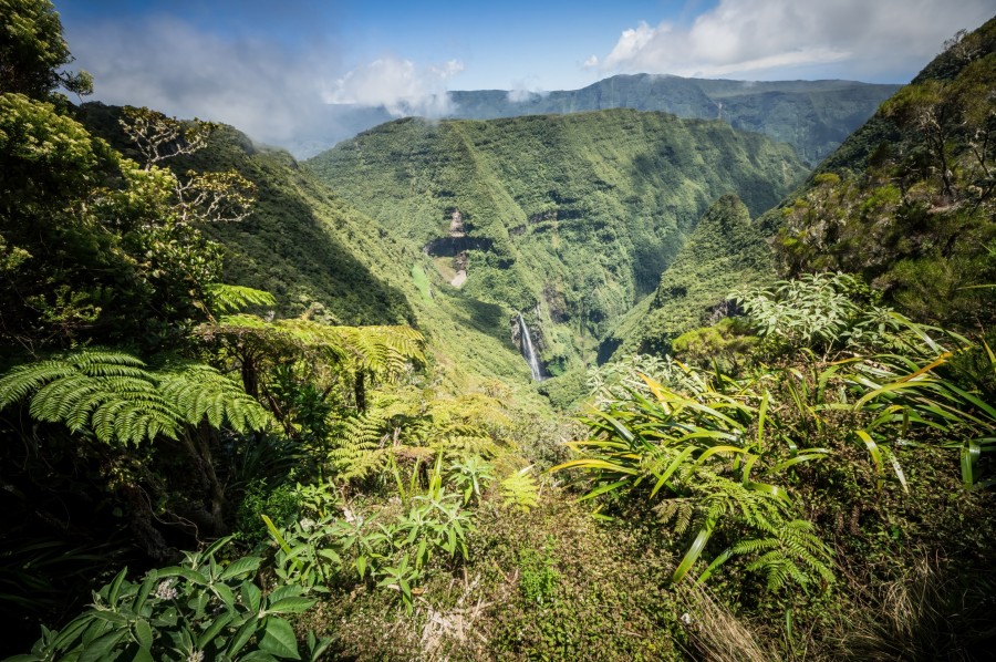 Quelle est la meilleure période pour visiter Fort Dauphin ?