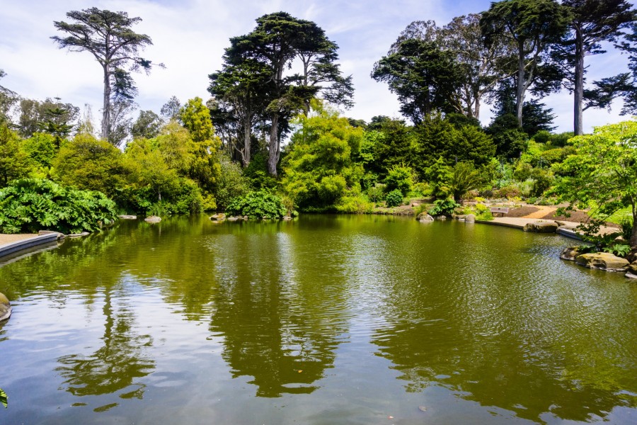 Quelle est l'histoire du Golden park de San Francisco ?