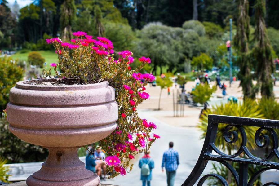 Quels sont les événements spéciaux organisés au Golden Gate Park de San Francisco ?