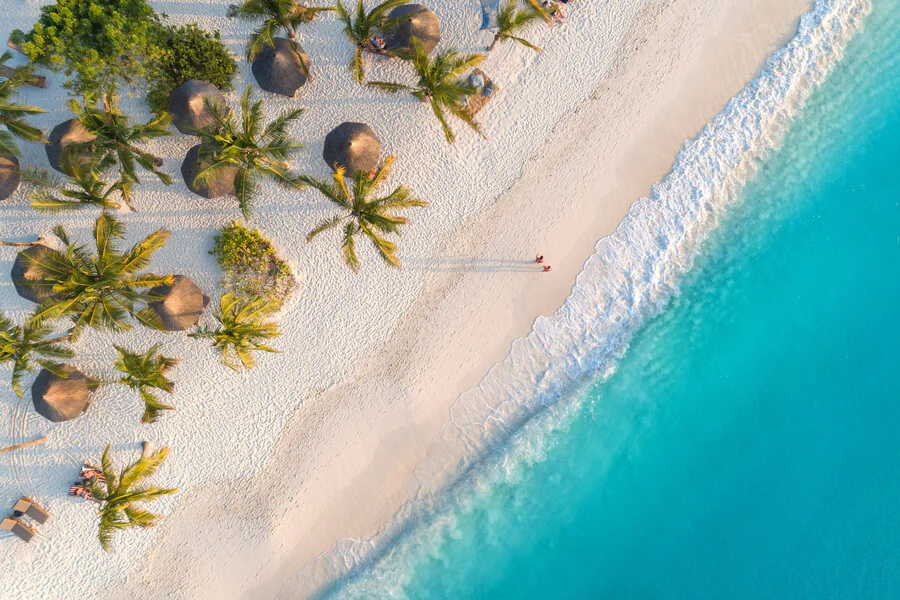 Plongée au coeur de la Riviera Maya au Mexique